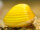 Gelbe Körbchenmuschel - Corbicula Sp.