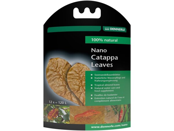 Nano Catappa Leaves (12 Stück)